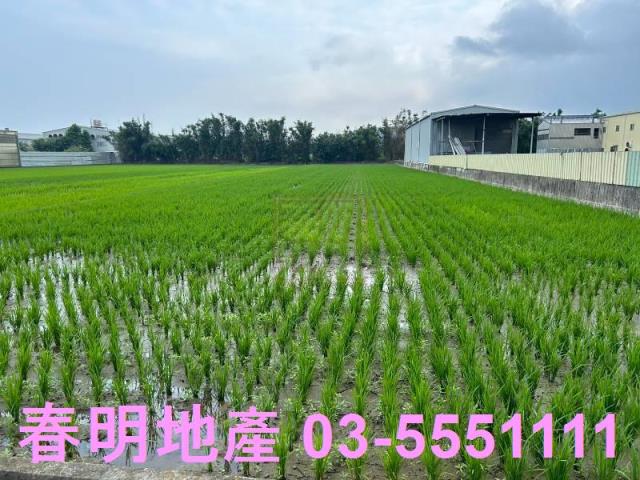 新竹縣竹北市正隆紙廠優質小農地春明地產