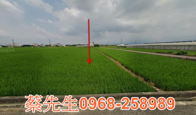 斗六永興路農保地可蓋資材室可做農保
