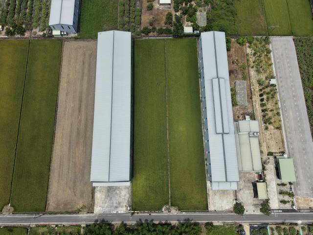阿蓮九鬮休閒農地