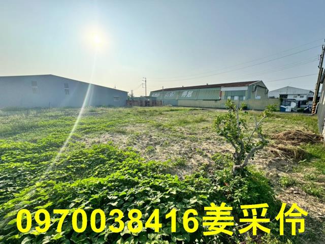 西區農地-10