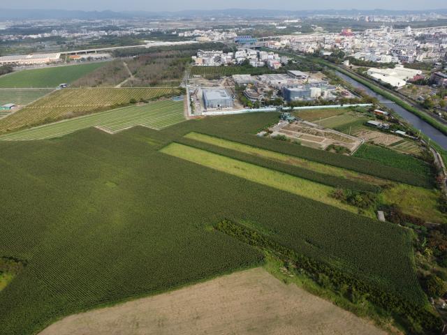 橋頭白埔農地
