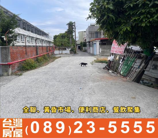 台東建地-1