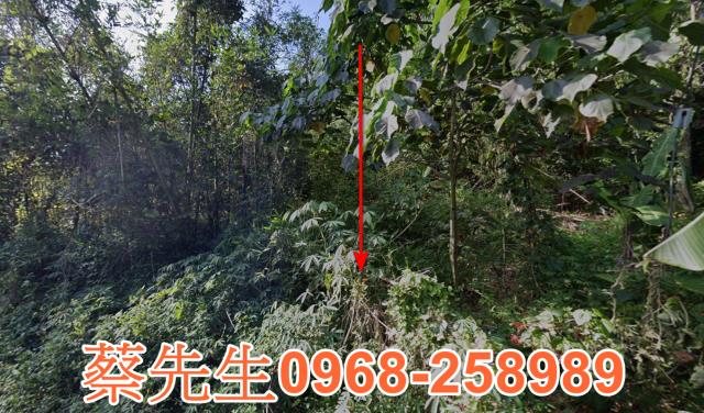 古坑番尾坑丙建興建理想豪華住宅