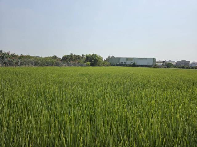 岡山近石潭面寬