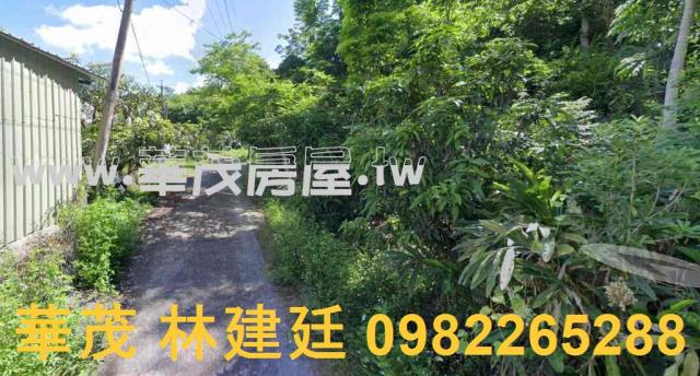 玉井九層林47分農建地