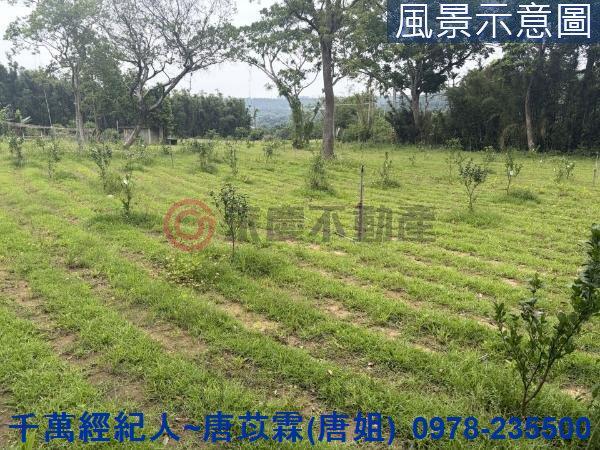 新竹縣市房地產關西南和國小近北二高關西交流道