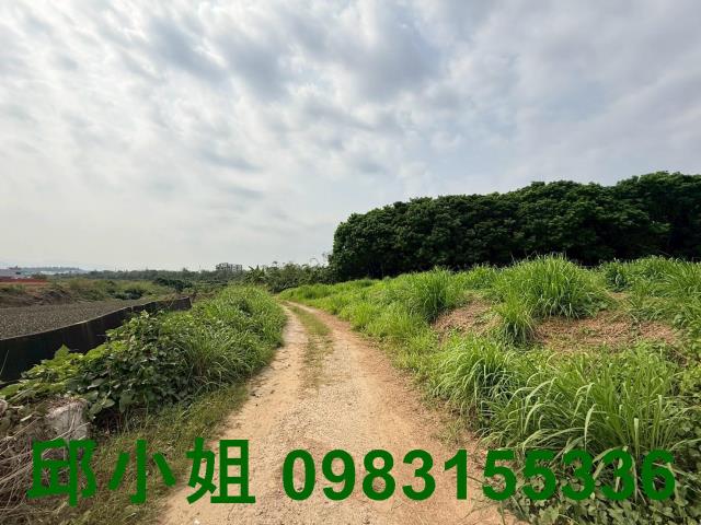 嘉義大林農地-1