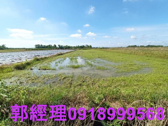 台南鹽水農地-1