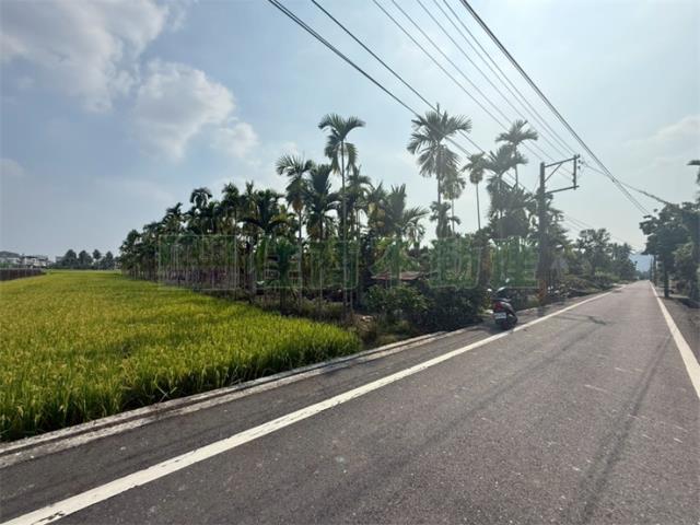 中壇段村莊內農地