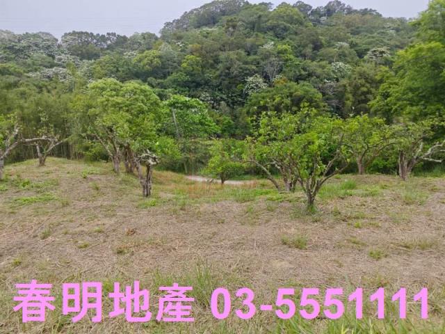 苗栗縣頭份市尖山公路臨路農地附水電春明地產