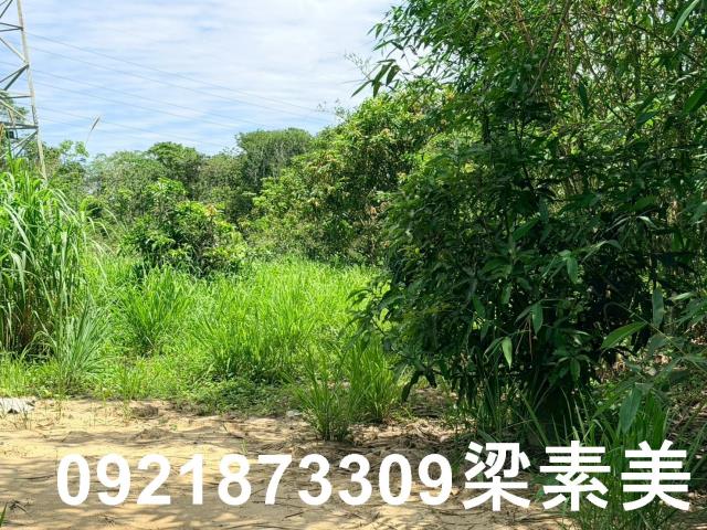 白河農地-4