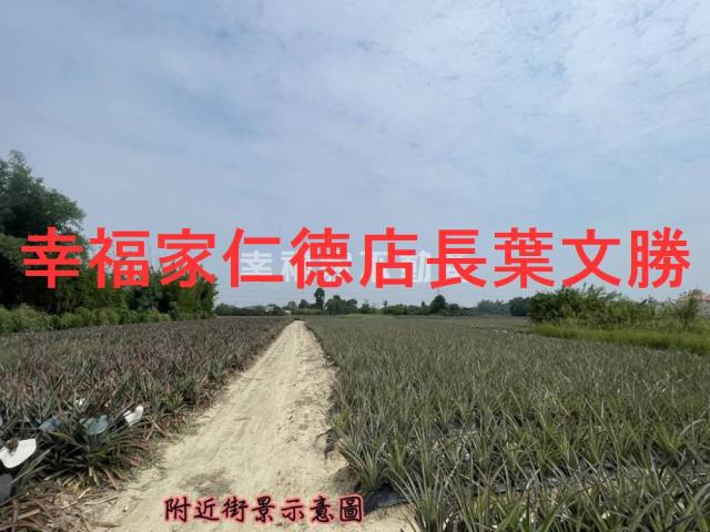 關廟農地-10