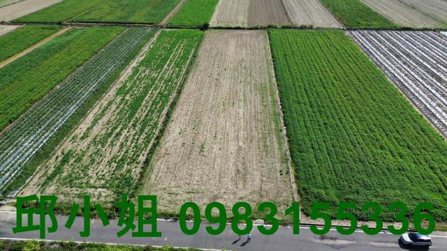 嘉義買房賣房房地合一稅建地農地
