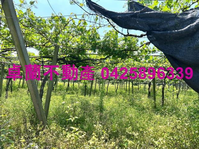 卓蘭都計內1812坪美地