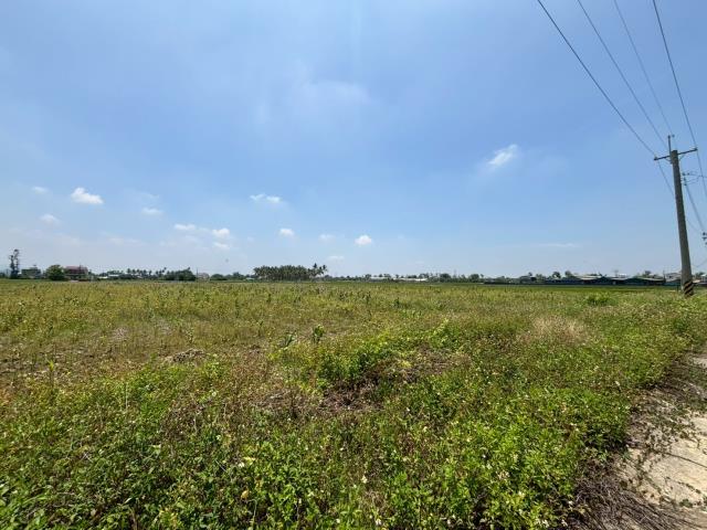 白河農地-5