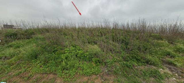 馬公法拍馬公農地馬公土地