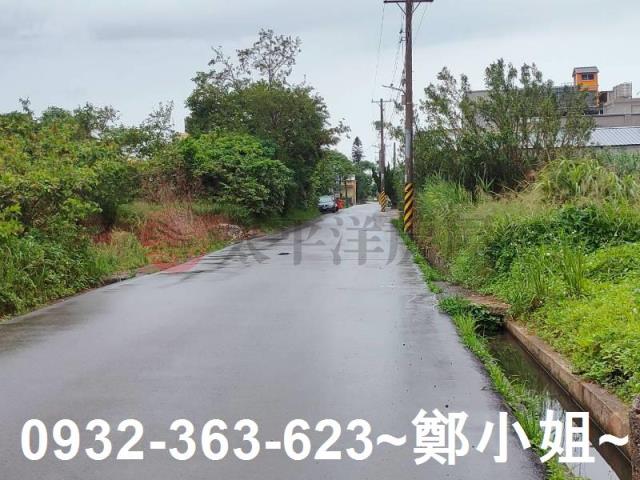 蘆竹新庄子段大新路一般農業區農地出售