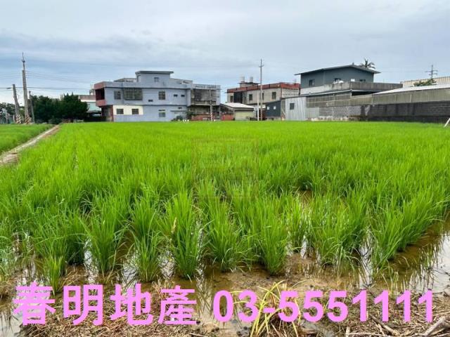 新豐農地-2