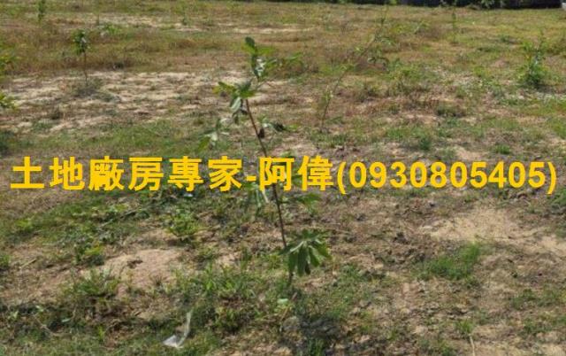 大社區漂亮農地195坪出售