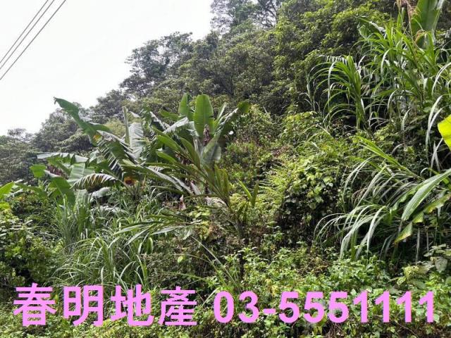 新竹芎林林地-9