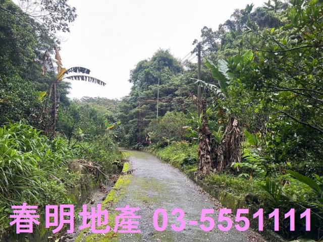 新竹芎林林地-11