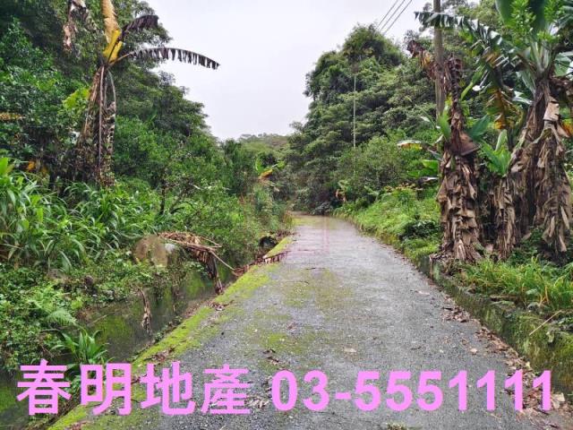 新竹芎林林地-2