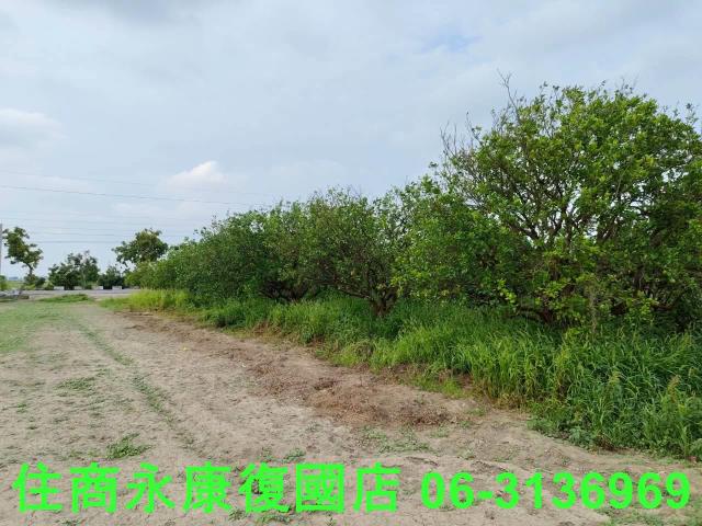 台南佳里農地-5