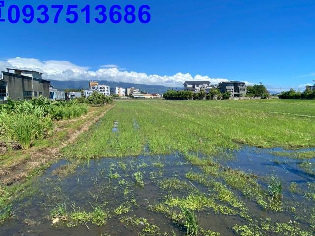 宜蘭市農地-5
