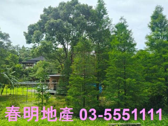 苗栗農地-6