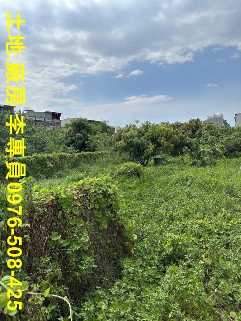 高雄林園住宅地-3