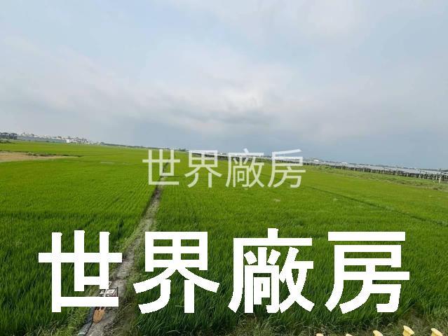 屏東東港乙工土地出售