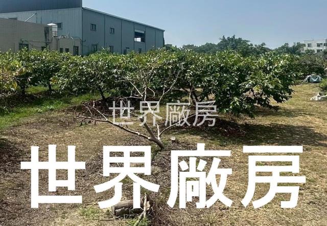 水上擴大都市計畫農地出售