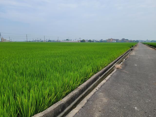六腳農地-2