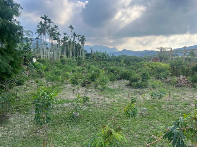 東勢農地-3