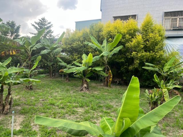 東勢農地-4