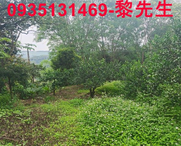 新竹北埔農地-14