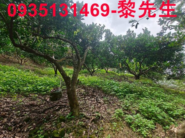 新竹北埔農地-4