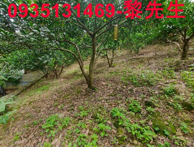 新竹北埔農地-5