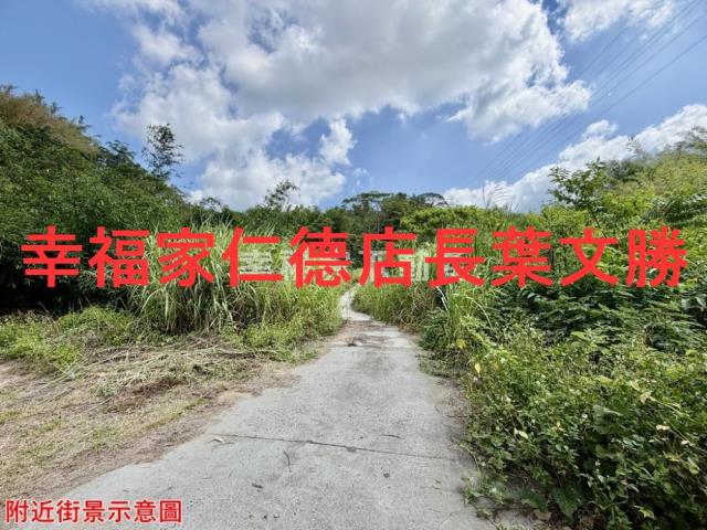 台南關廟農地-2
