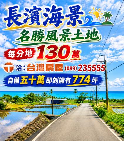 海農306長濱鄉城仔埔低總價風景區美農地