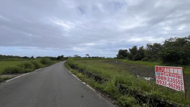 海農306長濱鄉城仔埔低總價風景區美農地