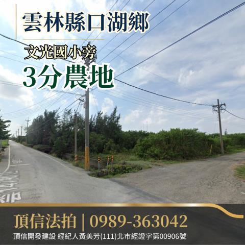 法拍雲林口湖文光國小3分農地