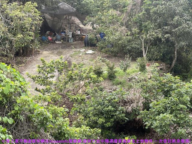 小雅之家霧峰桐林國小約25甲農地山坡地繼承急售