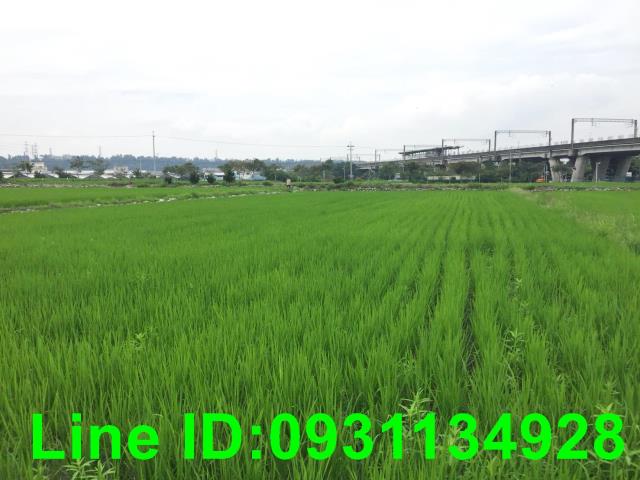 台中后里農地-0