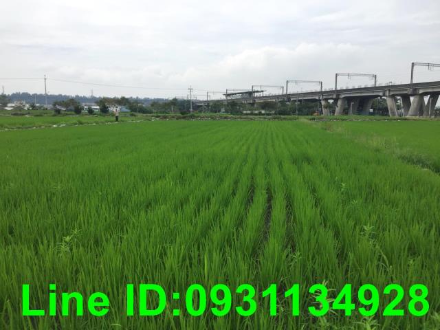 台中后里農地-1