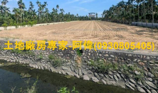 萬丹鄉前後路方正美農地973坪出售