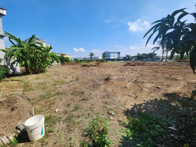 高雄路竹農地-3