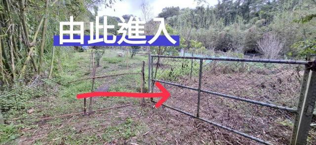 大溪區財神廟旁農地