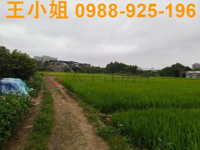 桃園桃園區農地-11