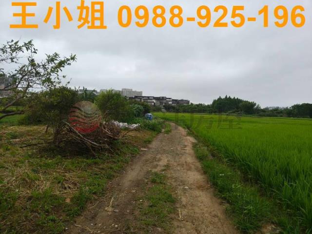 桃園桃園區農地-13